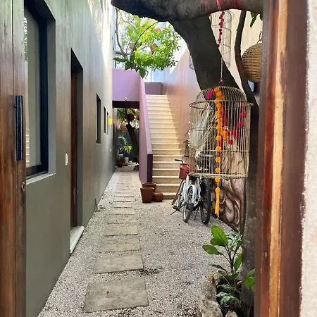 Sweet Apartment Tulum Town Great Pool Exterior photo